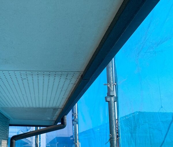 群馬県伊勢崎市　N様邸　屋根塗装　外壁塗装　施工前の状態②　屋根の劣化症状　カビの危険性 (1)