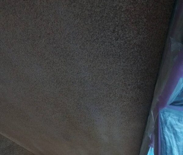 群馬県伊勢崎市　S様邸　外壁塗装・屋根塗装・付帯部塗装　軒天塗装　軒天劣化のサインとは (6)