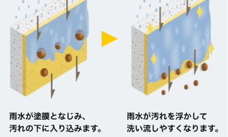 ガイソーウォール　マイティシリコン詳細