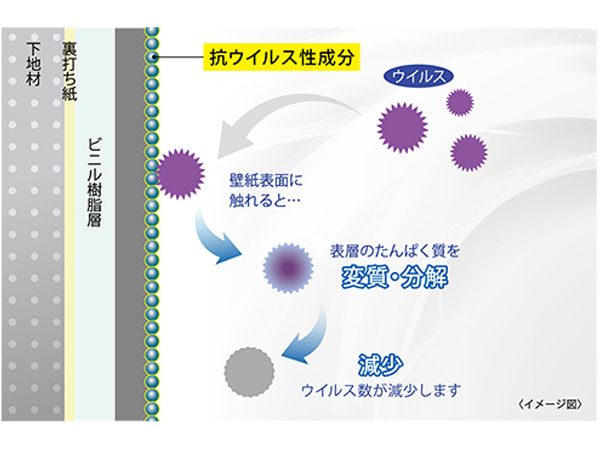 抗ウイルス