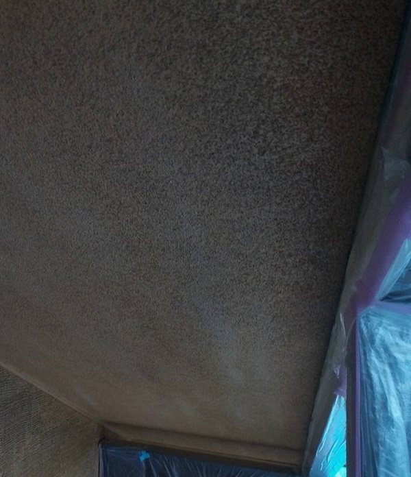 群馬県伊勢崎市　S様邸　外壁塗装・屋根塗装・付帯部塗装　軒天塗装　軒天劣化のサインとは (6)