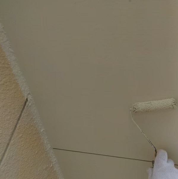 群馬県前橋市　H様邸　屋根塗装・外壁塗装　破風板、鼻隠し、軒天の塗装 (1)